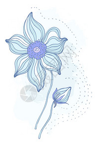 哈里贝尔鲜花美丽的朵手工绘画的矢量插图孤立插画