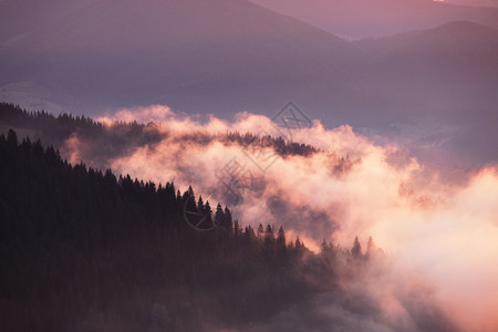美国田纳西州阿巴拉契亚山脉雾的清晨图片