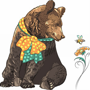卡通可爱棕熊矢量插画图片
