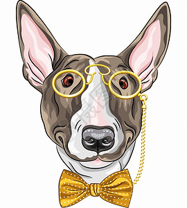 混种狗以金皮夹和弓领结种着金皮夹和弓领带插画