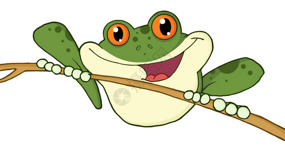 红眼绿树青蛙快乐背景图片