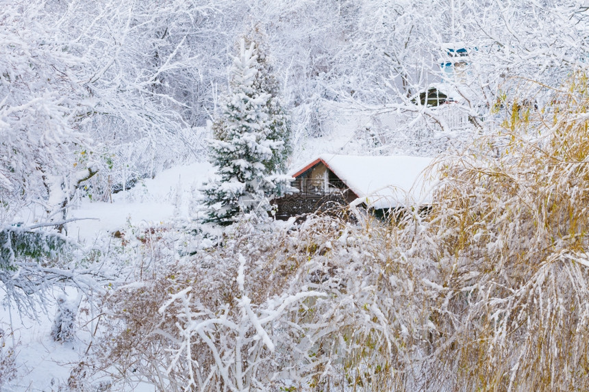 冬季乡村风景木屋和树布满雪圣诞节和季特有概念图片