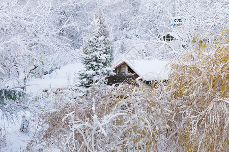 冬季乡村风景木屋和树布满雪圣诞节和季特有概念图片