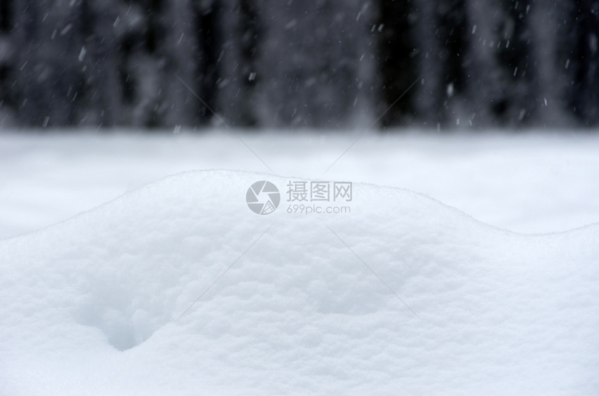 冬季背景下雪纹理关闭图片