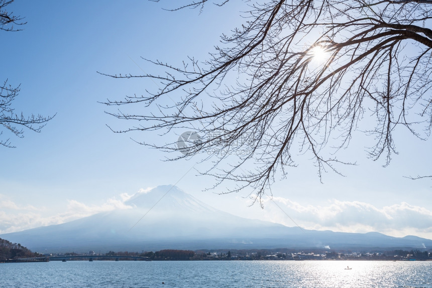 日本Yamaashi山川口果湖的藤福三山图片