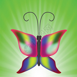 设计时用蝴蝶显示色彩多的插图图片