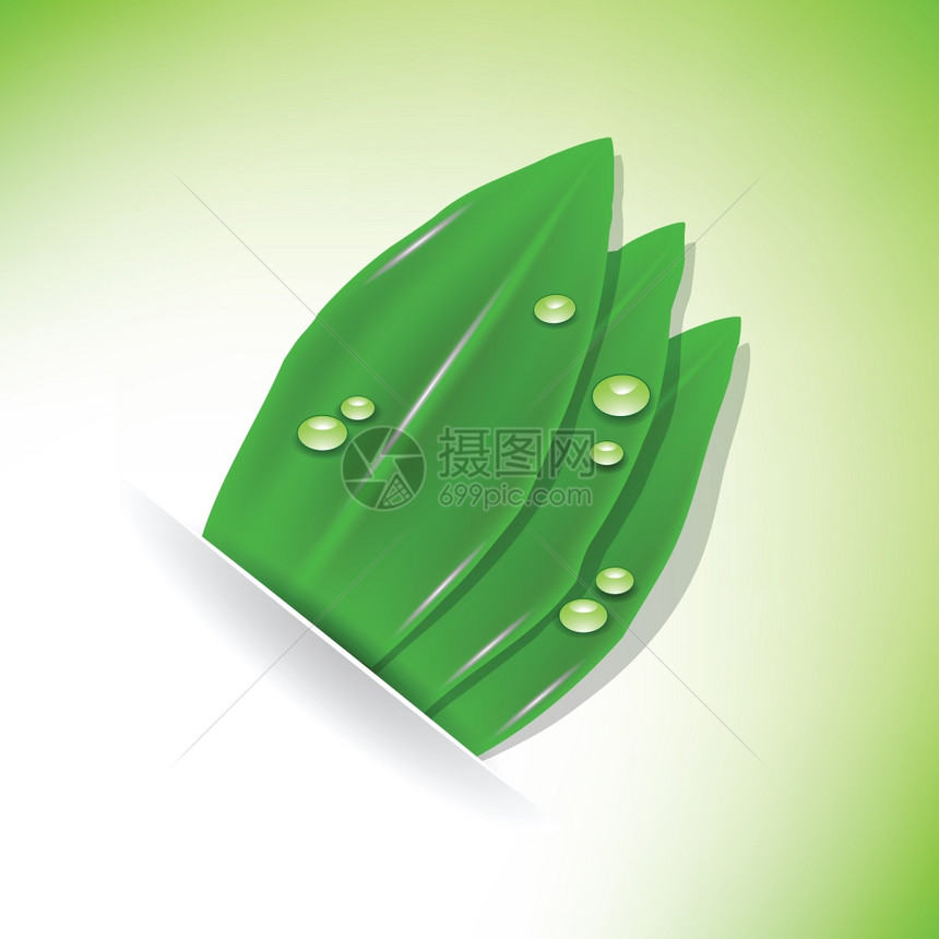 用绿色植物和水滴的多彩插图用于设计图片