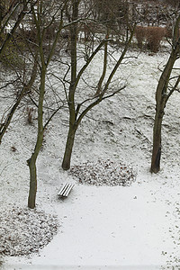 冬季公园落叶堆积的冬季公园图片