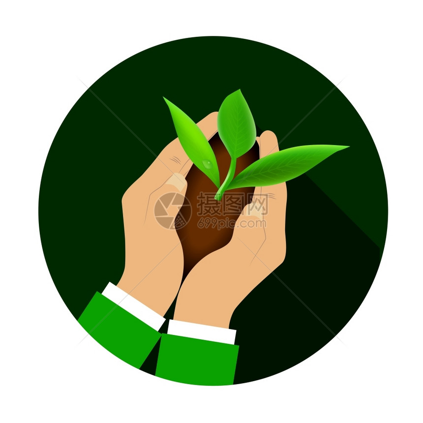 手握年轻植物生态或商业概念图片