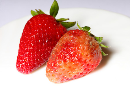 和腐烂的坏红草莓白食品浪费背景图片