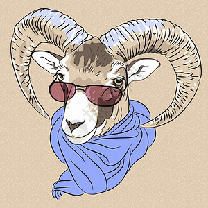 手绘彩色戴着眼镜的羊头卡通矢量插图图片