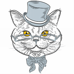 领带领结卡通可爱英国短毛猫插画