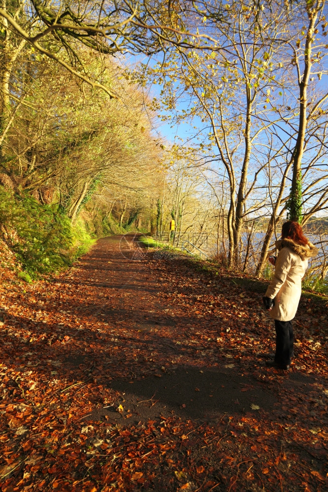 秋天之路爱尔兰科克镇女人散步棕色树叶在前景图片