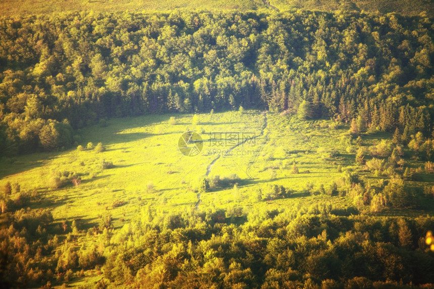 波兰Bieszczady山的青绿美丽夏季风景图片