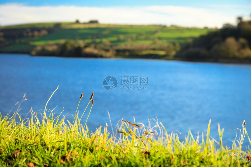 爱尔兰欧洲Cork河平原绿草图片