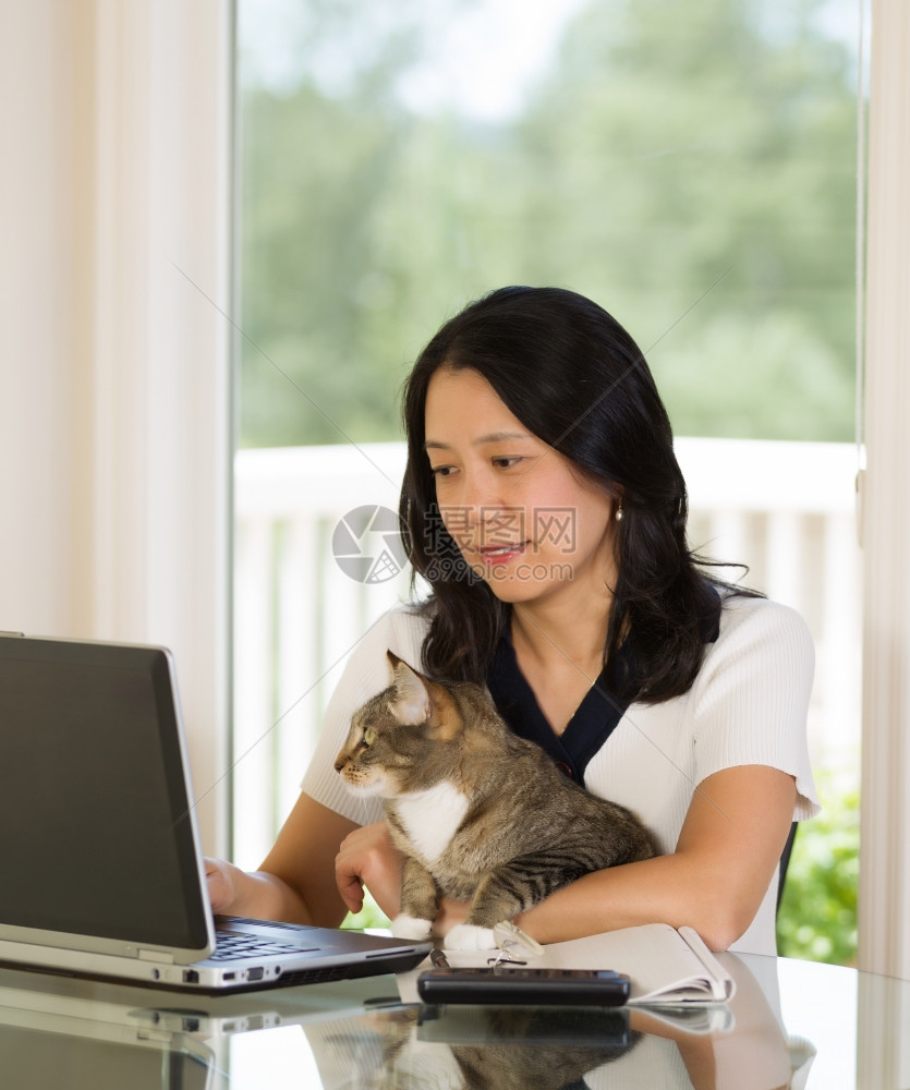 成年女和她的猫垂直图像双看着笔记本电脑屏幕图片