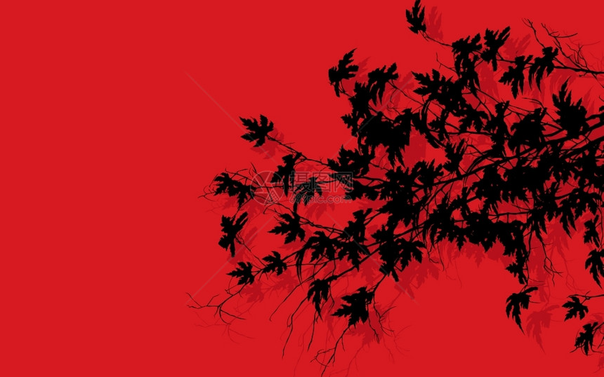 树枝上有红色背景的叶片图片