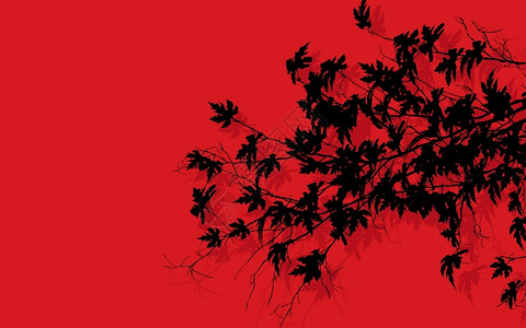 树枝上有红色背景的叶片图片
