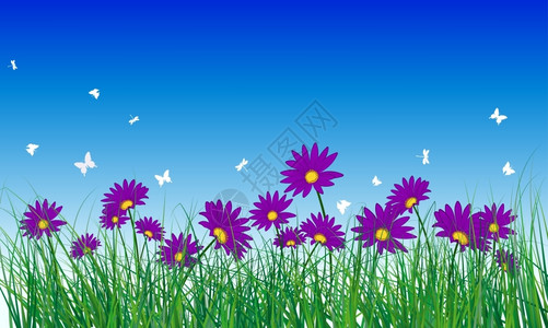 绿色的草地上盛开的紫色鲜花和飞舞的蝴蝶矢量插画背景图片