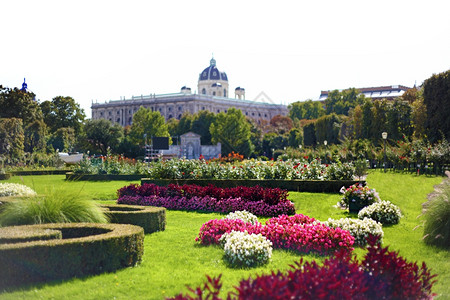 绿色公园和鲜花后面的维也纳市政大楼图片