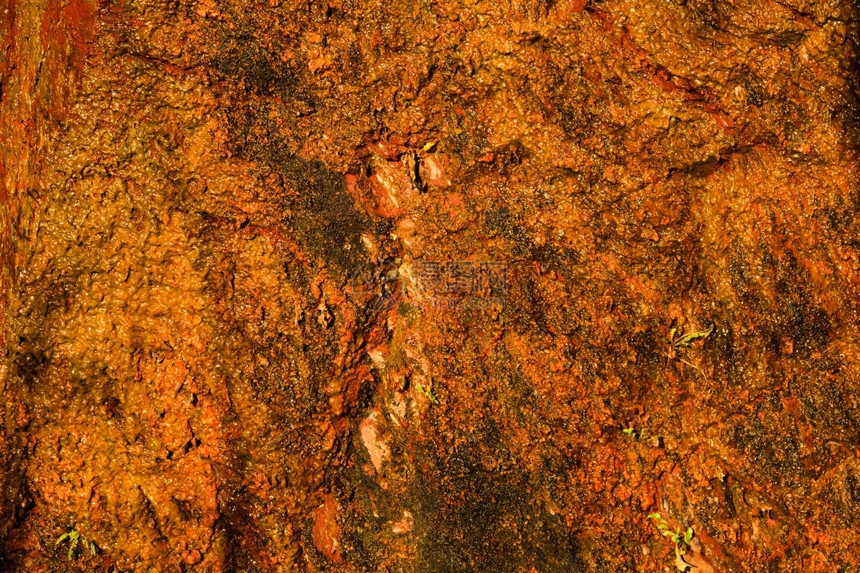 自然湿橙色岩壁表面背景粗岩石表面图片