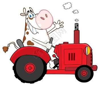 快乐奶牛在农场开着红色的拖拉机高清图片