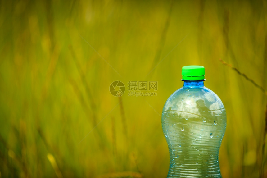 绿色草本天然背景的瓶子有复制空间图片