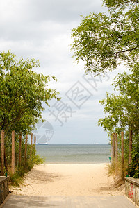暑假和度胜地清空的入口绿色叶子通向沙滩海景图片