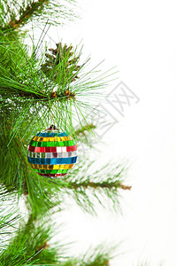 圣诞舞会和fir树图片