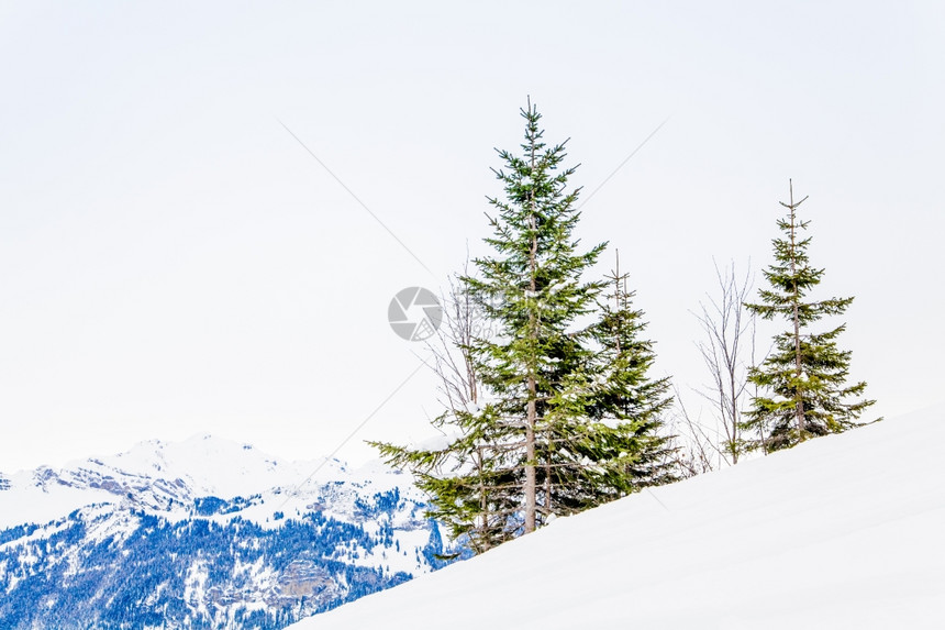 冬季阿尔卑斯山地貌图片
