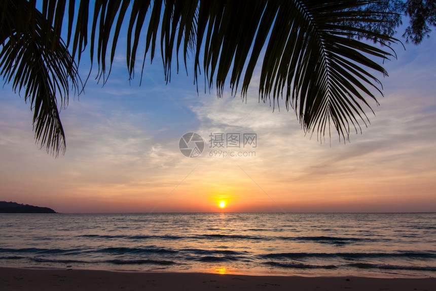 美丽的热带日落棕榈树热带海滩滨的棕榈树图片