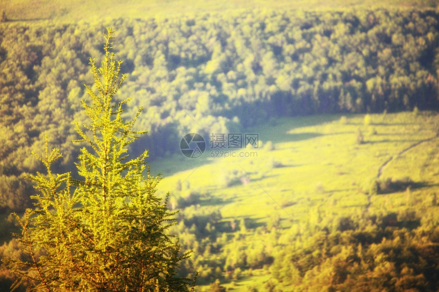 波兰Bieszczady山的青绿美丽夏季风景图片