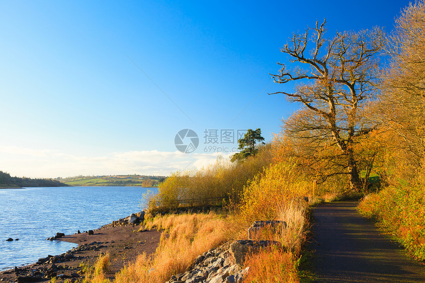 爱尔兰欧洲秋路科克河边美丽的风景橙树叶图片