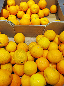 Ccurus成熟橙子水果装箱出售超级市场图片