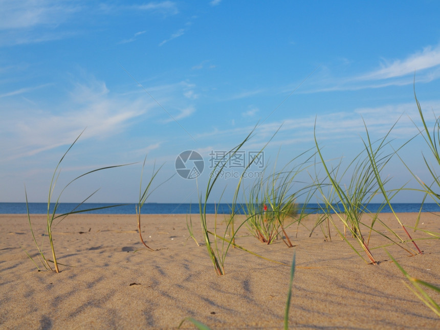 浅滩和水面上有草沙丘的波罗海图片