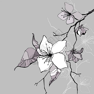 黑白手绘树叶上的花朵背景图片