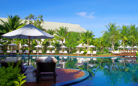 带椰子树和白伞的热带游泳池图片