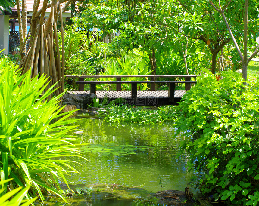 带池塘的亚洲春花园图片