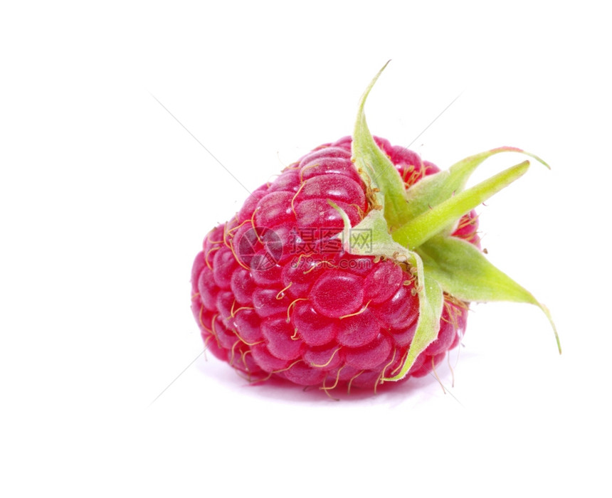 白色背景上隔离的新鲜raspberry关闭图片