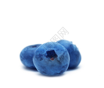 白上孤立的蓝莓背景图片