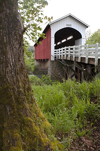 Currin覆盖桥周围的石草和图片