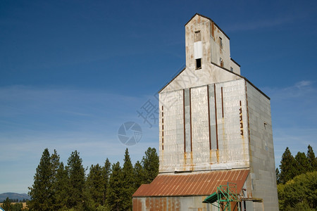 筒仓用于农业的一座老旧建筑高如山背景