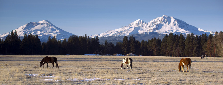 三姐妹山基地的马牧场俄勒冈图片