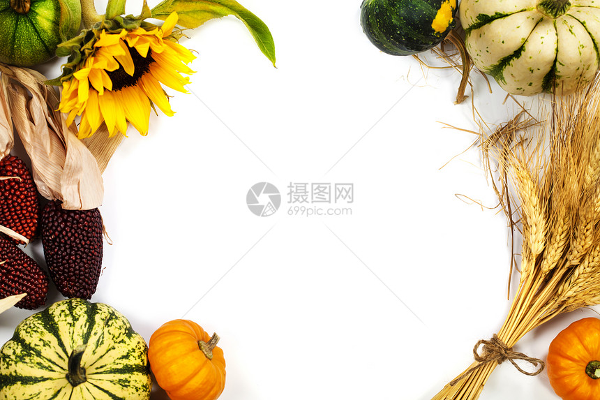 秋天框架白边感恩节收获或秋天概念图片
