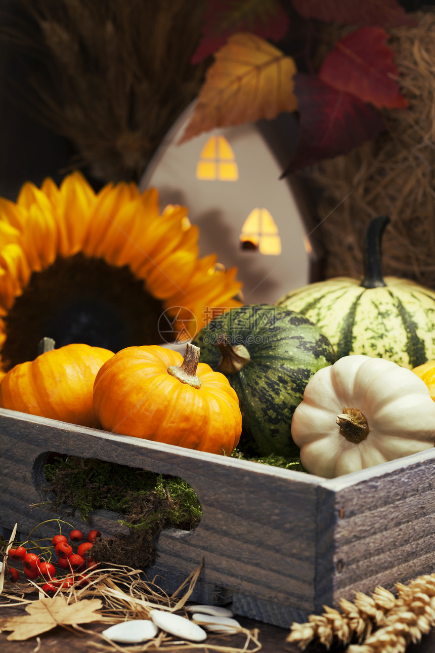 木箱中小房子和南瓜的秋季成分图片