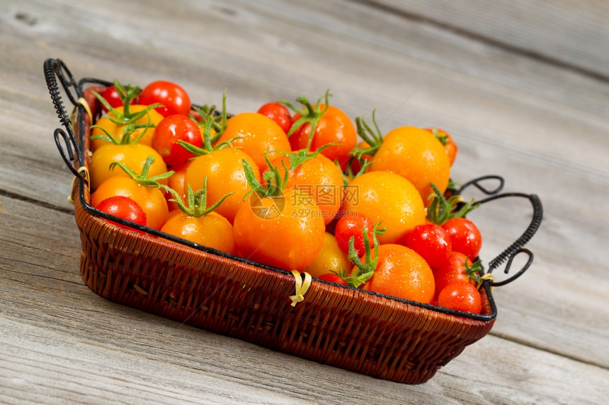 生锈木板篮子中菜园新鲜西红柿的愤怒景象图片