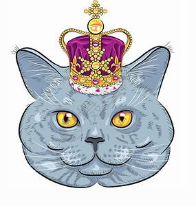 金冠上英国滑猫的时装画肖像图片