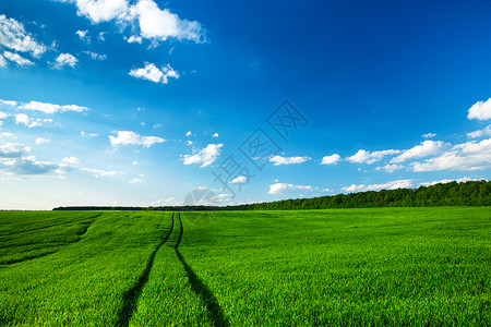 绿地和蓝色天空xAxA图片
