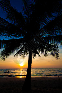 日落和海滩以椰枣树的海滩景象图片