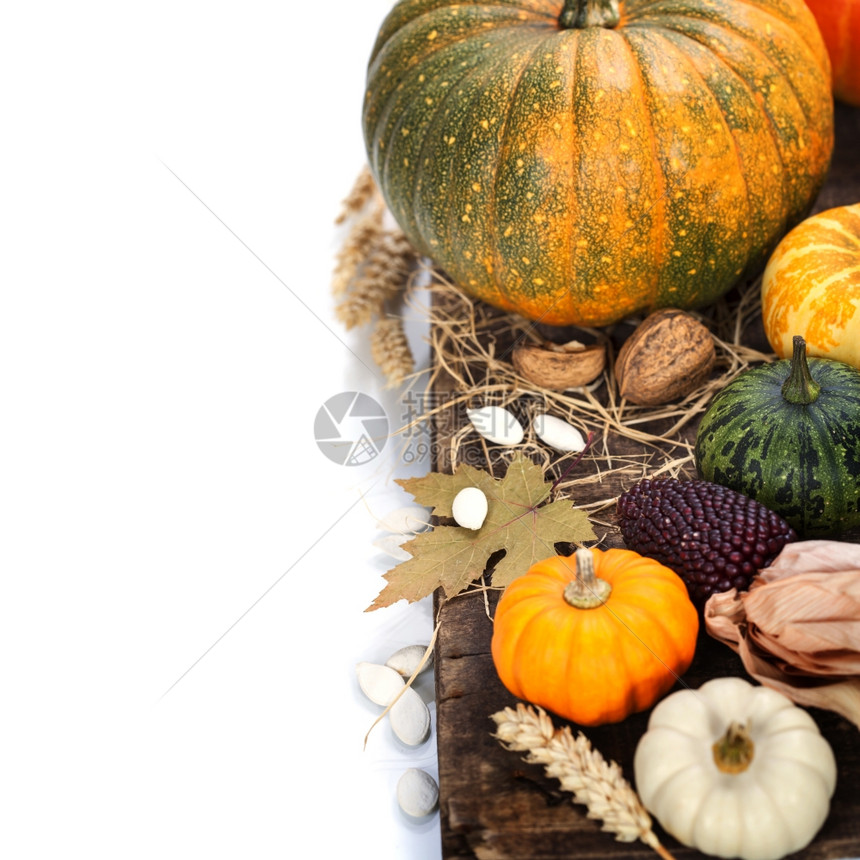 秋季构成旧木制桌上的南瓜和玉米图片
